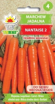 Marchew średnio wczesna Nantaise 2 5g TORAF