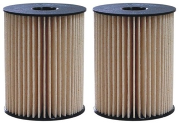 2× FILTRON FILTR PALIVA