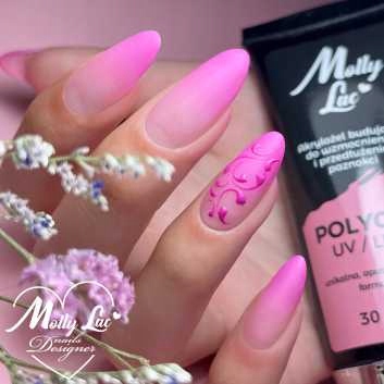 Molly Lac POLY GEL набор акриловых гелей 30мл + формы
