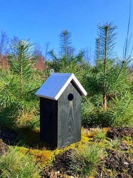 СКВОРОТКА - ЦВЕТНАЯ КРЫША, высота 30 см