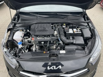 Kia Ceed III Kombi Facelifting 1.5 T-GDI 140KM 2025 Kia Cee'd Automat mHEV Podgrzewanie Kamera, zdjęcie 12