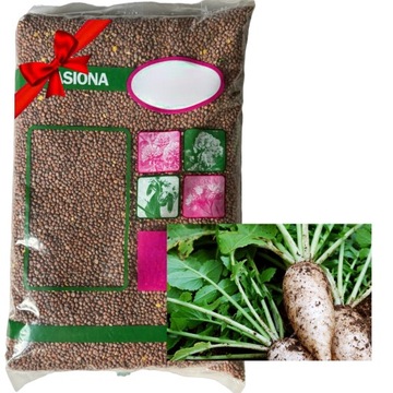 RZODKIEW OLEISTA ROMESA 25KG C/1 KWALIFIKAT NASION