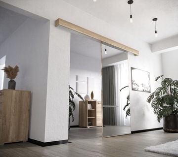 Раздвижная дверь Внутреннее зеркало VDLO96 O-диван