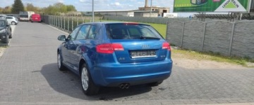 Audi A3 8P Hatchback 3d 1.9 TDI 105KM 2009 Audi A3 Sportback 1.9 TDI ,BEZWYPADEK,zadbany 1.9 Diesel 105KM, zdjęcie 3