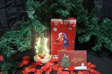 ВЕЧНАЯ РОЖДЕСТВЕНСКАЯ ЕЛКА В СТЕКЛЕ LED КАК РОЗА, САНТА, ЗВЕЗДА, ПОДАРОК ​​LED