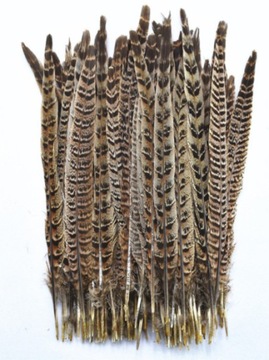 10 sztuk naturalne pióra brązowe BAŻANT 20-25 CM