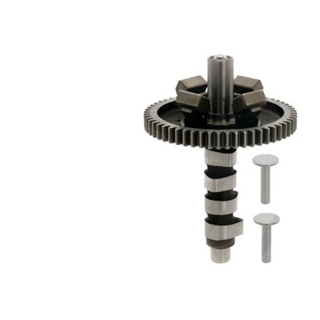 Wałek krzywkowy Briggs & Stratton 290400-359700