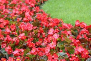 УНИВЕРСАЛЬНАЯ ГРУНТА для овощей, цветов, 30л С УДОБРЕНИЯМИ