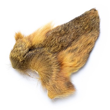 Ucho Sarny DEER EAR