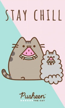 Ręcznik do przedszkola 50x30 ręczniczek KOT PUSHEEN