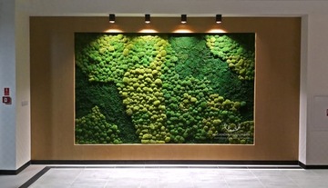 Мох FLAT темно-зеленый Шведский 200г сетка Декоративный Яркий декоративный