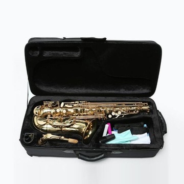 1 футляр для альт-саксофона (по вашему желанию)