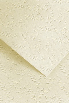 Papier Karton ozdobny NATURE jasnobeżowy z tłoczeniem A4 220g 20ark