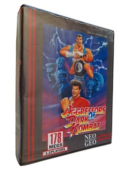 Aggressors of Dark Kombat / ENG / Neo Geo AES