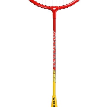 БАДМИНТОН НАБОР РАКЕТОК СУМКА