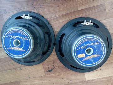 ASHDOWN BLUE LINE PARA BASOWYCH 25 CM 150 WAT 15 OMÓW