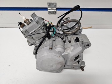 Двигатель Derbi Senda 50 2T Rieju 50 в рабочем состоянии