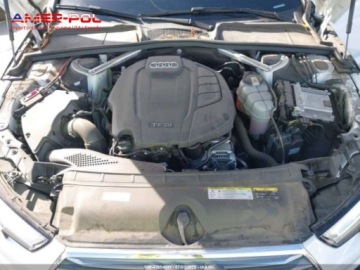 Audi A4 B9 2019 Audi a4 2019 Audi A4 Premium Plus 40 TFSI 2.0 Benzyna 188KM, zdjęcie 9