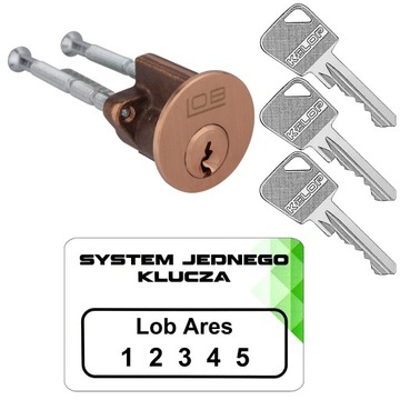 wkładka WT01 RIM M Lob Ares system jednego klucza