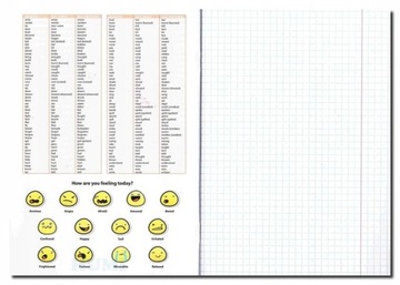Набор тематических блокнотов со шпаргалкой St. Маевский А5 60 карт.