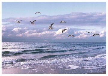 FOTOTAPETA PLAŻA MORZE MEWY FALA NATURA WIDOK NATURA TAPETA 368x254