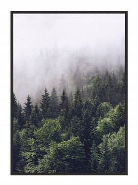 OBRAZ PLAKAT W RAMIE 43x33 cm Las P612 Pion
