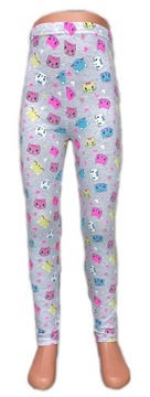 LEGGINSY getry LEGINSY kot KOTKI siwe KOTY - 140