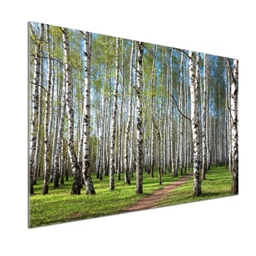 Panel dekor szkło Brzozowy las 100x70 cm + KLEJ