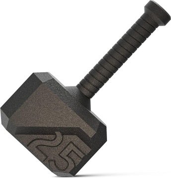 Sprzęt do treningu Hammer Kettlebell 7-31kg TRIBE WOD