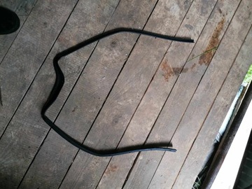 RENAULT ARKANA 2022+ USZCZELKA MASKI 5119131