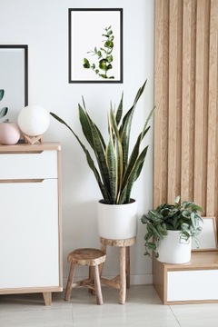 Рамка для фотографий формата А2, черная рамка 42x59,4