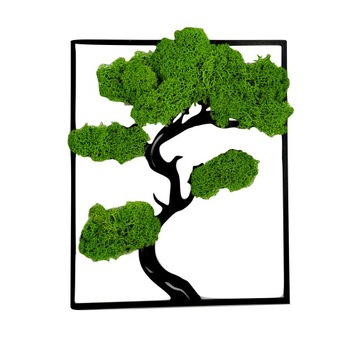 ŻYWY OBRAZ DRZEWKO SZCZĘŚCIA ŻYCIA 60x70 Bonsai