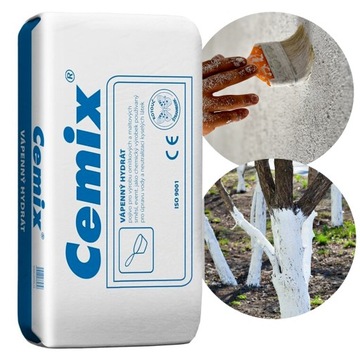 Wapno Hydratyzowane Gaszone Bielenie Ścian Piwnic