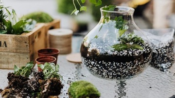 LAS W SŁOIKU : Żwirek Bursztynowy Rzeczny 1KG