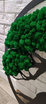 ПОДАРОЧНАЯ ЖИВАЯ КАРТИНА ДЕРЕВО БОНСАЙ 48см