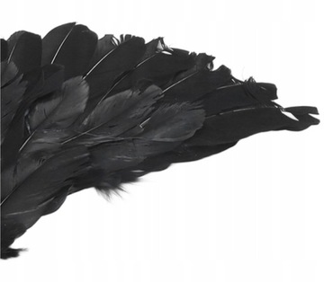 ЧЕРНОЕ ПЕРО КРЫЛЬЯ АНГЕЛ ДЬЯВОЛ ХЭЛЛОУИН