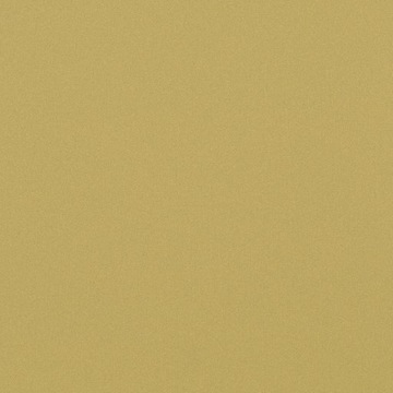 Фольга MATTE GOLD, матовое стекло, ширина 100 см.