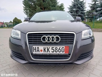 Audi A3 8P Hatchback 3d 1.4 TFSI 125KM 2009 Audi a3 Audi A3 1.4 TFSI S line Sportpaket 1.4 Benzyna 125KM, zdjęcie 28