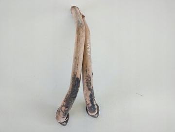 Выпускной коллектор YAMAHA XJ 600