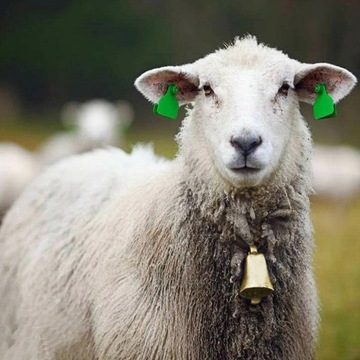 Металлические колокольчики для животных, коровьего бога на ферме