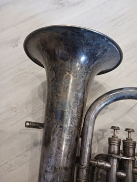 БАРИТОН ЭНТХОВЕН НИДЕРЛАНДЫ