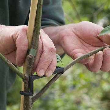 Разбрасыватель наклонных опор для ветвей деревьев