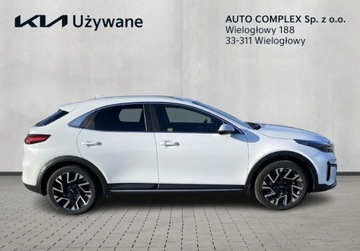 Kia XCeed Crossover Facelifting 1.5 T-GDi 160KM 2023 Kia XCeed Zakup Zdalny KIA XCEED 1.5 T-GDI 160KM Business Line 1.5 160KM, zdjęcie 18