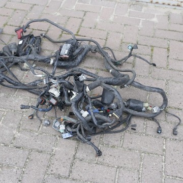 Honda Goldwing GL 1800 Главный жгут проводов 2001-05 гг.