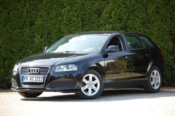 Audi A3 8P Hatchback 3d 1.6 102KM 2010 Audi A3 Lift Automat 5drzwi1.6MPI Klimatronic Alu Lato+Zima, zdjęcie 2