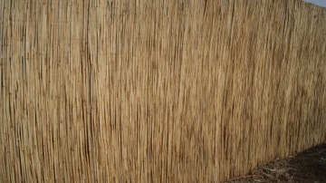 Mata trzcinowa trzcina osłona płot 1,10x6m gęsta