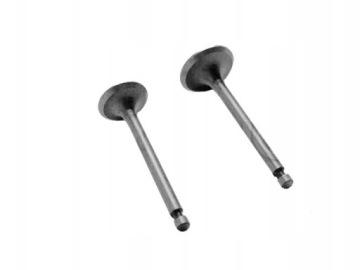 ZAWÓR ZAWORY SSĄCY WYDECHOWY AGREGAT DIESEL 1100F