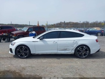 Audi A5 B10 2024 Audi S5 Coupe Sportback Premium Plus, 2024r., 4x4, 3.0L 3.0 Benzyna 349KM, zdjęcie 5