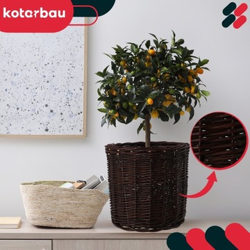 Виклин Wikline Copp