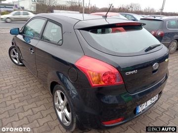 Kia Proceed 2010 Kia ProCeed Kia ProCeed 1.6 Crdi Comfort 1.6 Diesel 116KM, zdjęcie 7